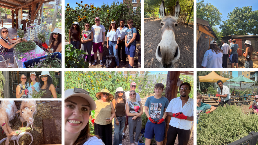 Legal Fieldtrip Collage