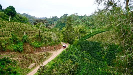 Maestros Productores Huila 2026 (8)